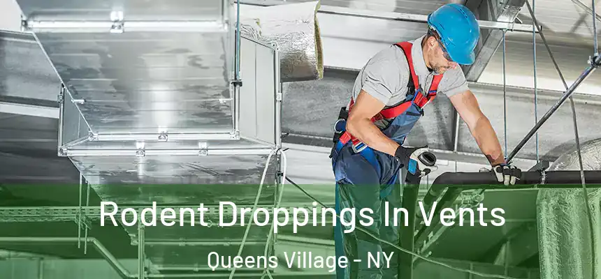  Rodent Droppings In Vents Queens Village - NY