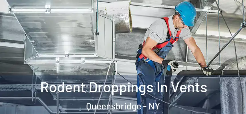  Rodent Droppings In Vents Queensbridge - NY