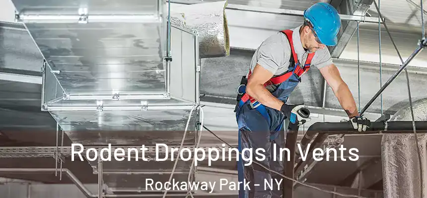 Rodent Droppings In Vents Rockaway Park - NY