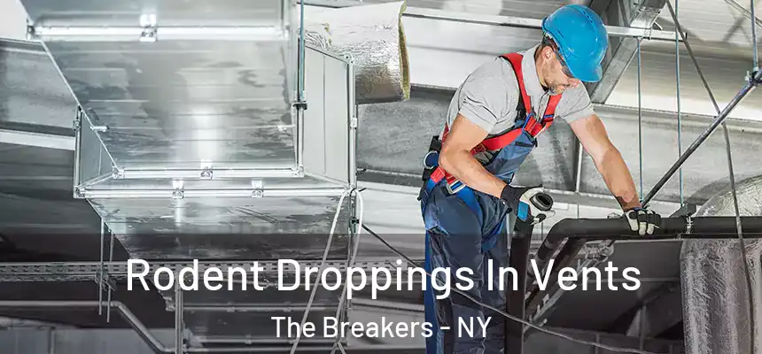 Rodent Droppings In Vents The Breakers - NY
