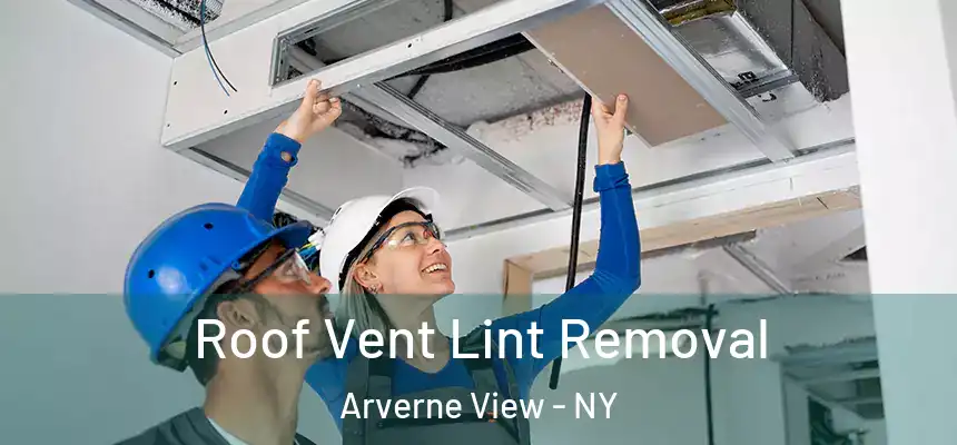  Roof Vent Lint Removal Arverne View - NY