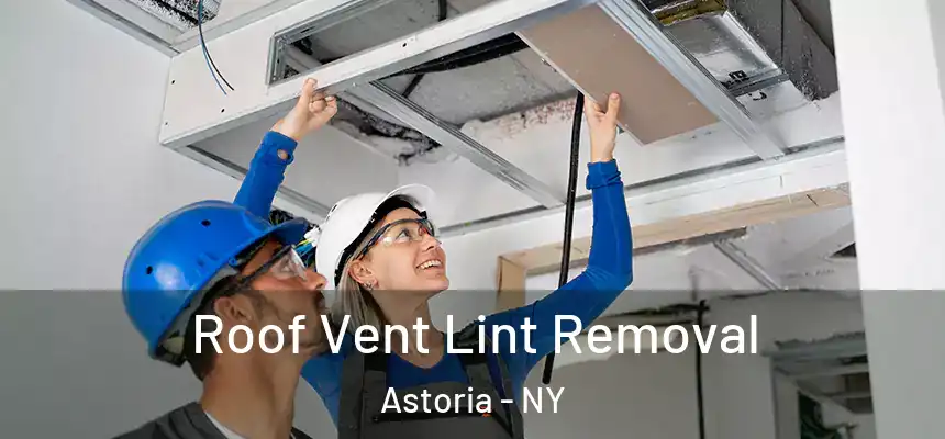  Roof Vent Lint Removal Astoria - NY