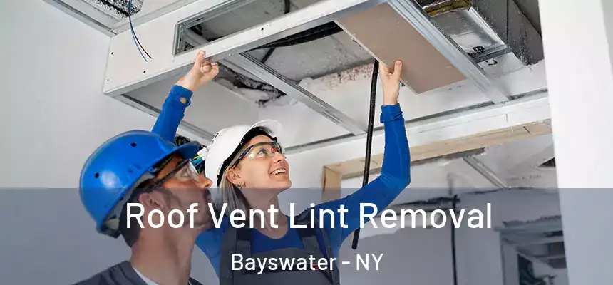  Roof Vent Lint Removal Bayswater - NY