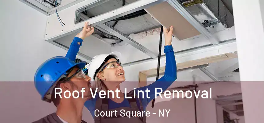  Roof Vent Lint Removal Court Square - NY
