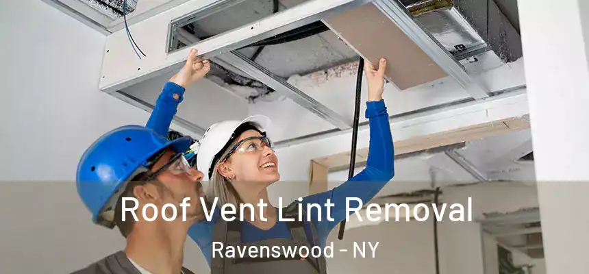  Roof Vent Lint Removal Ravenswood - NY