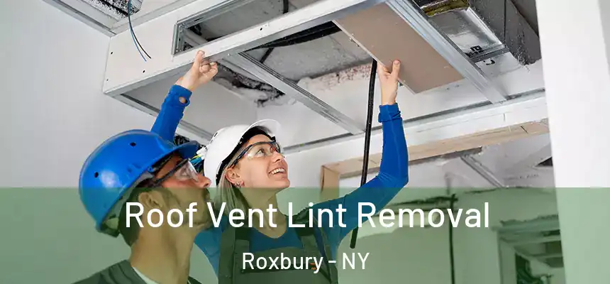  Roof Vent Lint Removal Roxbury - NY