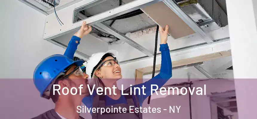 Roof Vent Lint Removal Silverpointe Estates - NY