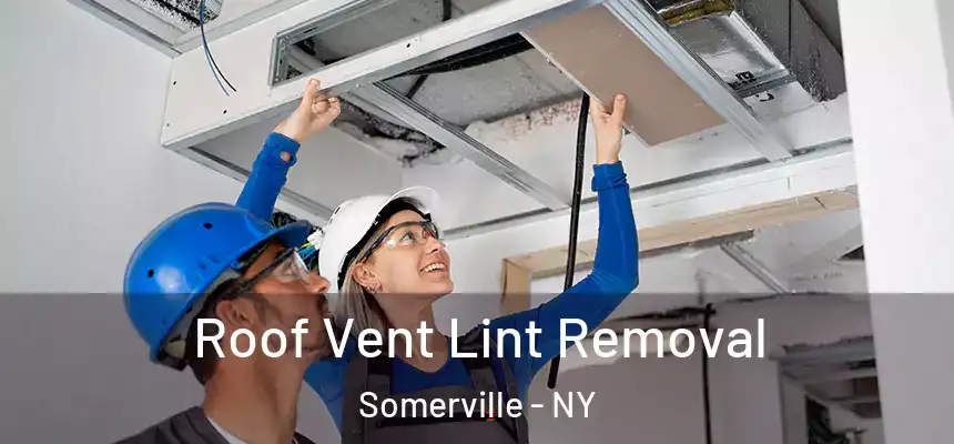  Roof Vent Lint Removal Somerville - NY