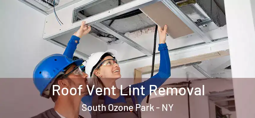  Roof Vent Lint Removal South Ozone Park - NY