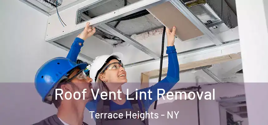 Roof Vent Lint Removal Terrace Heights - NY