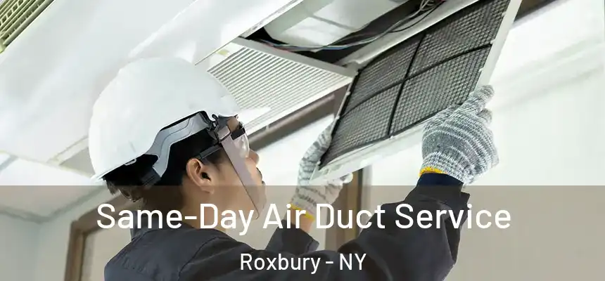 Same-Day Air Duct Service Roxbury - NY