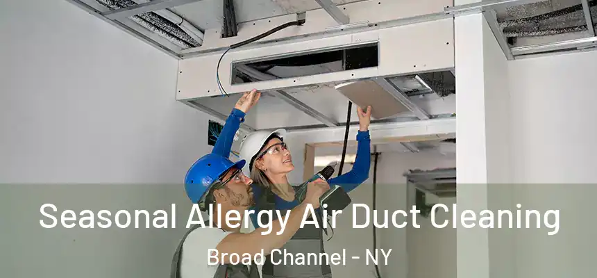 Seasonal Allergy Air Duct Cleaning Broad Channel - NY