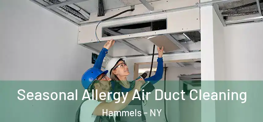  Seasonal Allergy Air Duct Cleaning Hammels - NY
