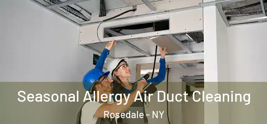 Seasonal Allergy Air Duct Cleaning Rosedale - NY