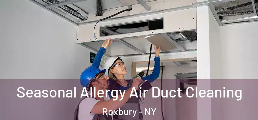 Seasonal Allergy Air Duct Cleaning Roxbury - NY