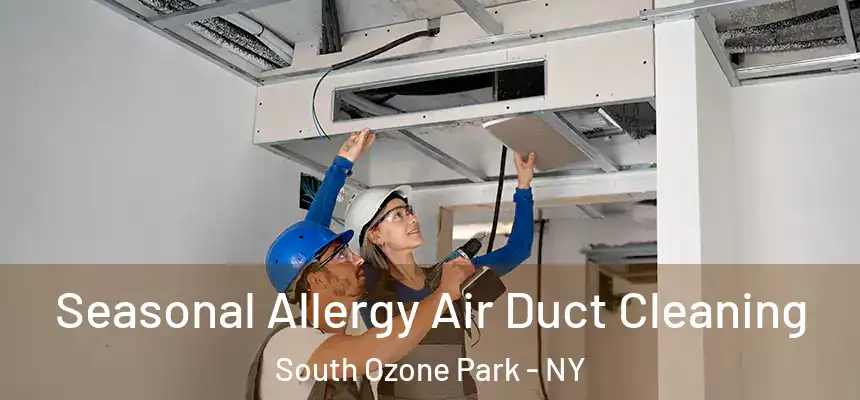  Seasonal Allergy Air Duct Cleaning South Ozone Park - NY
