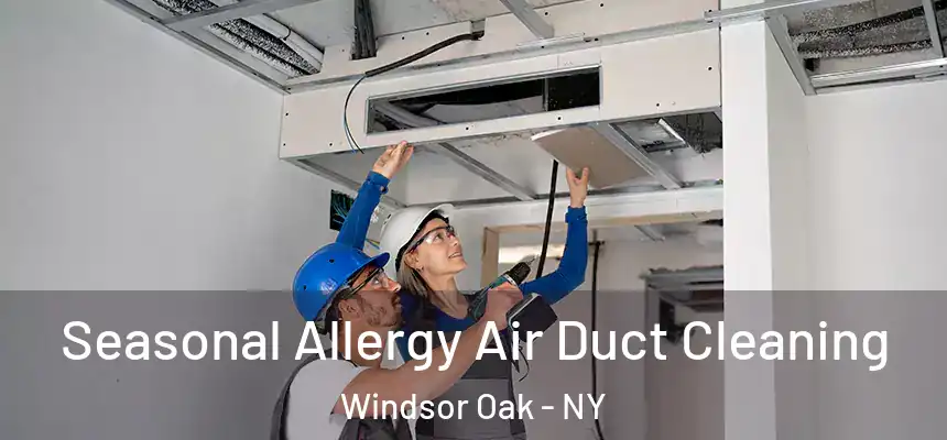 Seasonal Allergy Air Duct Cleaning Windsor Oak - NY