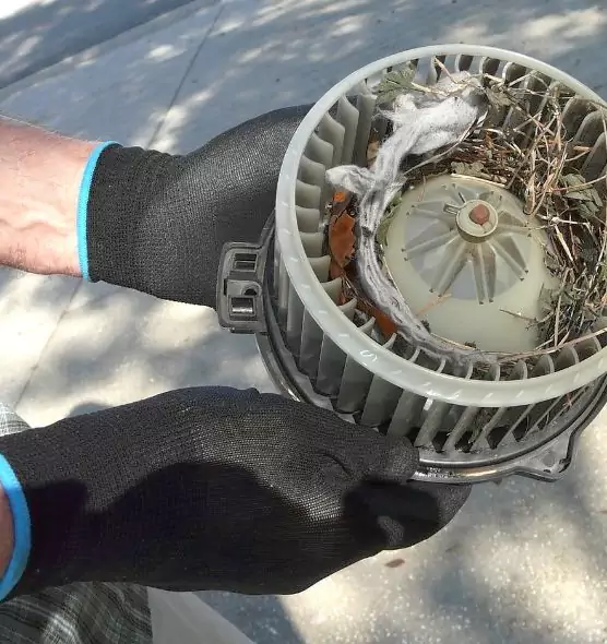 About Air Duct Rat Removal in Queens, NY