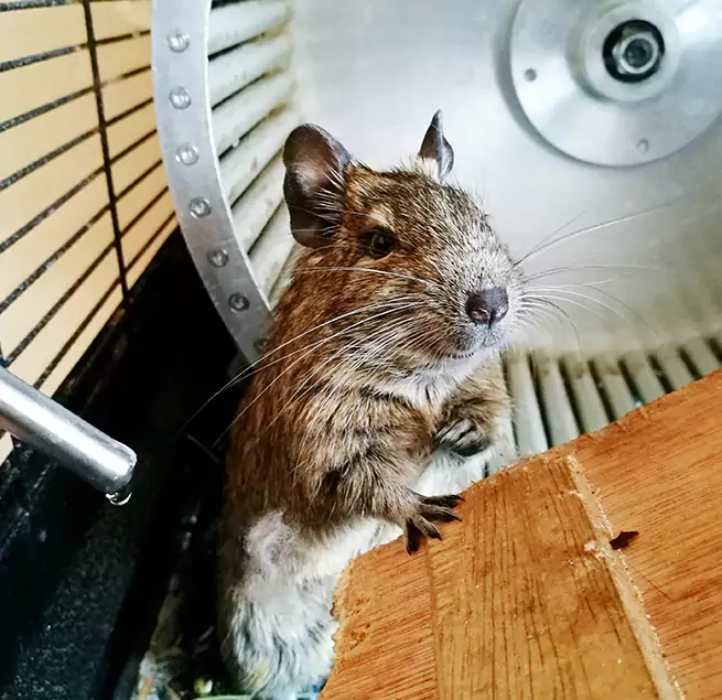 Why Homeowners & Businesses Trust Us Queens, NY