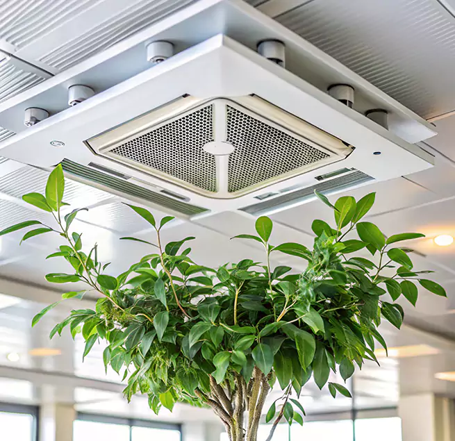 Why Homeowners & Businesses Trust Us in Queens, NY