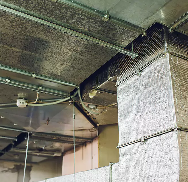 Why Homeowners & Businesses Trust Us in Queens, NY?