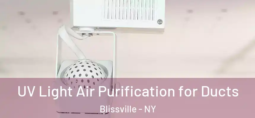  UV Light Air Purification for Ducts Blissville - NY