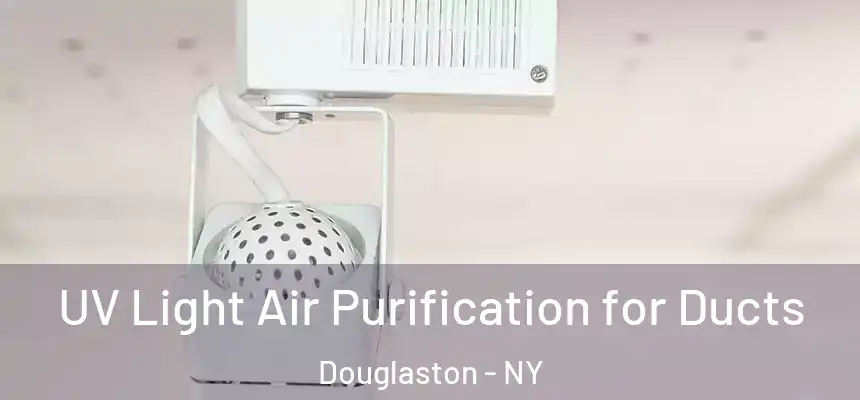  UV Light Air Purification for Ducts Douglaston - NY