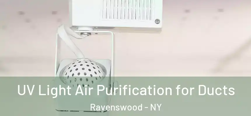  UV Light Air Purification for Ducts Ravenswood - NY