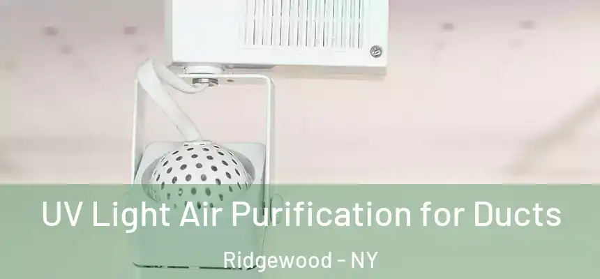  UV Light Air Purification for Ducts Ridgewood - NY