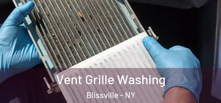 Vent Grille Washing Blissville - NY