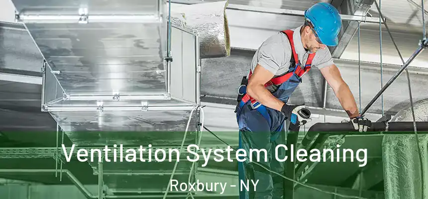Ventilation System Cleaning Roxbury - NY