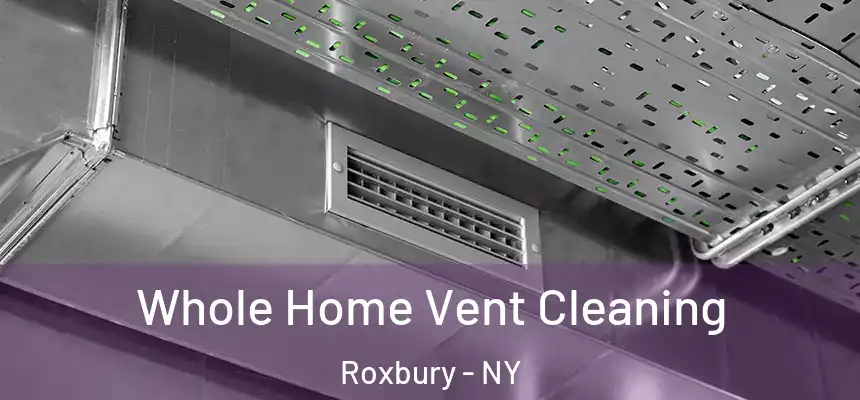  Whole Home Vent Cleaning Roxbury - NY