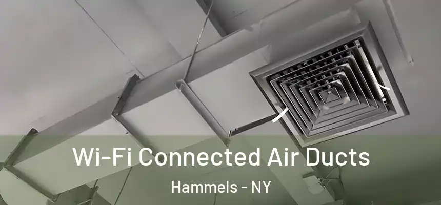 Wi-Fi Connected Air Ducts Hammels - NY